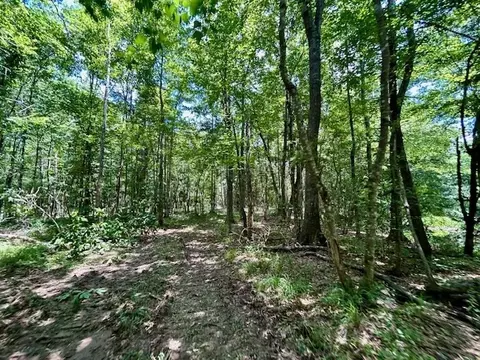 tbd Rollinson Rd, Liberty, MS 39645 photo 61