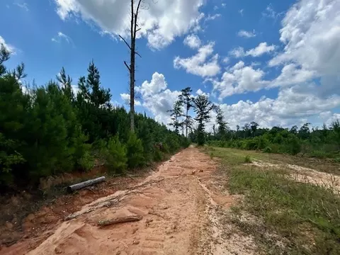 tbd Rollinson Rd, Liberty, MS 39645 photo 33