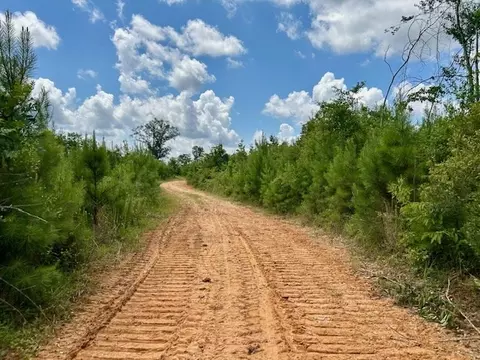 tbd Rollinson Rd, Liberty, MS 39645 photo 19