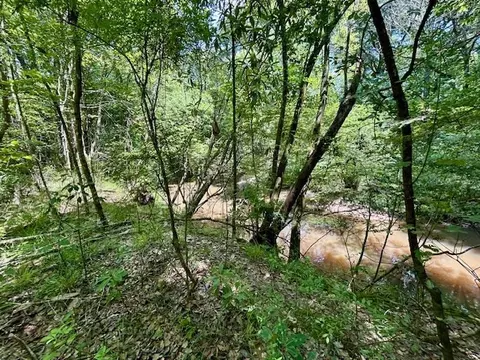 tbd Rollinson Rd, Liberty, MS 39645 photo 59