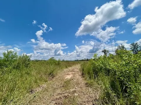 tbd Rollinson Rd, Liberty, MS 39645 photo 68