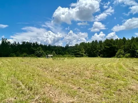 tbd Rollinson Rd, Liberty, MS 39645 photo 76