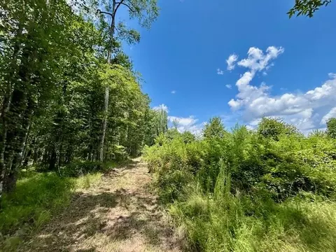 tbd Rollinson Rd, Liberty, MS 39645 photo 67