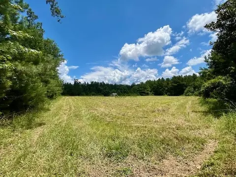 tbd Rollinson Rd, Liberty, MS 39645 photo 75