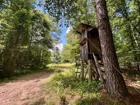 tbd Rollinson Rd, Liberty, MS 39645 photo 51
