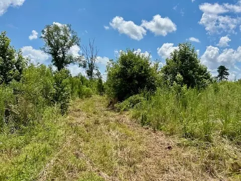 tbd Rollinson Rd, Liberty, MS 39645 photo 22