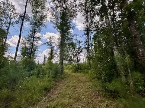 tbd Rollinson Rd, Liberty, MS 39645 photo 31