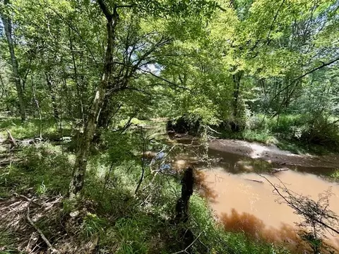 tbd Rollinson Rd, Liberty, MS 39645 photo 63