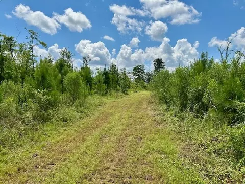 tbd Rollinson Rd, Liberty, MS 39645 photo 23