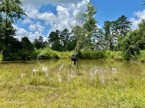 tbd Rollinson Rd, Liberty, MS 39645 photo 21