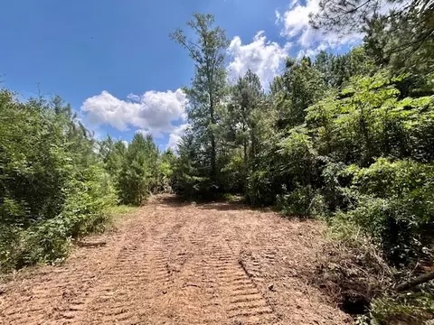 tbd Rollinson Rd, Liberty, MS 39645 photo 79