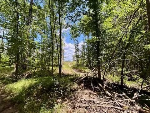 tbd Rollinson Rd, Liberty, MS 39645 photo 66