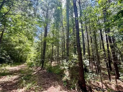 tbd Rollinson Rd, Liberty, MS 39645 photo 81