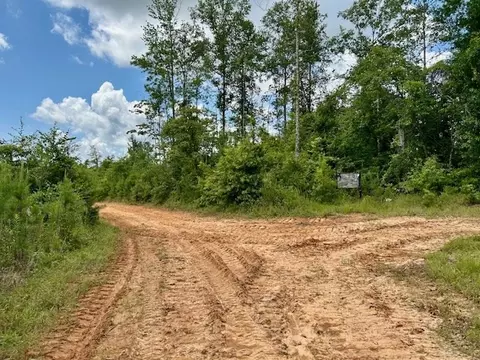 tbd Rollinson Rd, Liberty, MS 39645 photo 18
