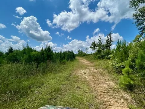 tbd Rollinson Rd, Liberty, MS 39645 photo 35