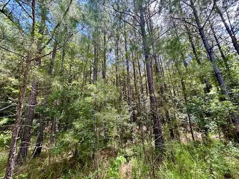 tbd Rollinson Rd, Liberty, MS 39645 photo 74