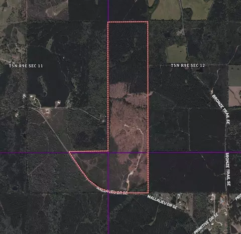 1234 Mallilieu Rd, Ruth, MS 39662