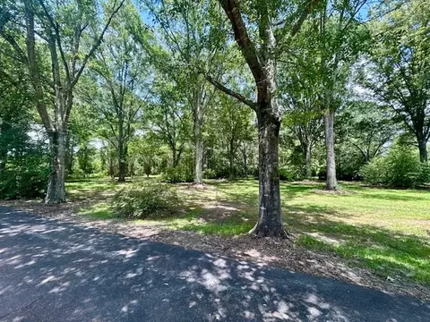 159 Stephens Rd, Silver Creek, MS 39663 photo 87