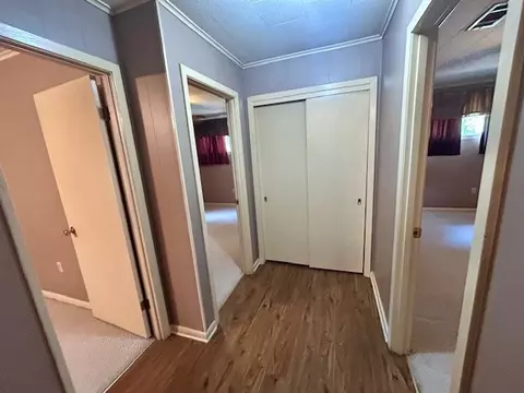 159 Stephens Rd, Silver Creek, MS 39663 photo 26