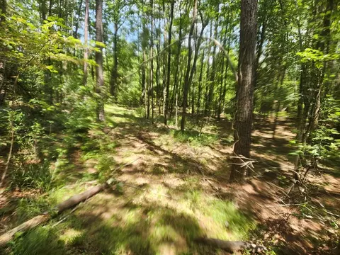 tbd NE Bahalia Rd, Brookhaven, MS 39601 photo 17