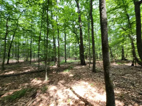 tbd NE Bahalia Rd, Brookhaven, MS 39601 photo 30