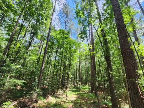tbd NE Bahalia Rd, Brookhaven, MS 39601 photo 15