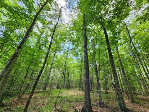 tbd NE Bahalia Rd, Brookhaven, MS 39601 photo 27