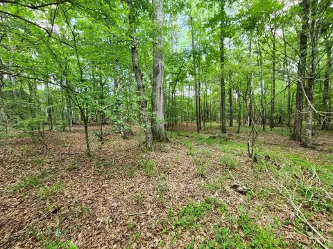 tbd NE Bahalia Rd, Brookhaven, MS 39601 photo 14