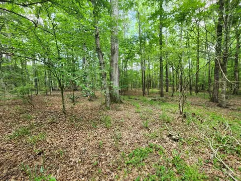 tbd NE Bahalia Rd, Brookhaven, MS 39601 photo 11