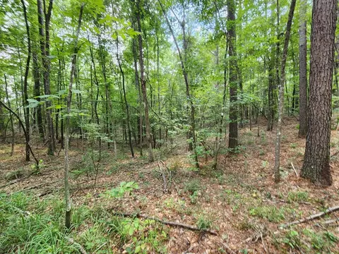 tbd NE Bahalia Rd, Brookhaven, MS 39601 photo 23
