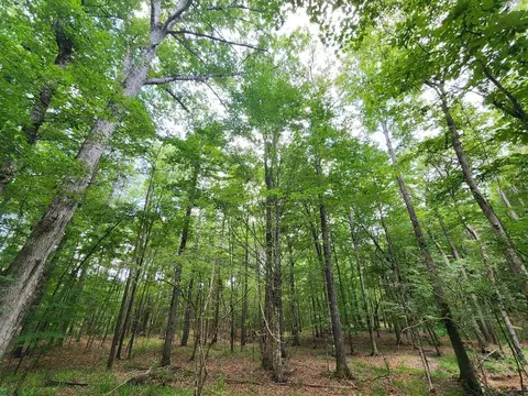 tbd NE Bahalia Rd, Brookhaven, MS 39601 photo 12
