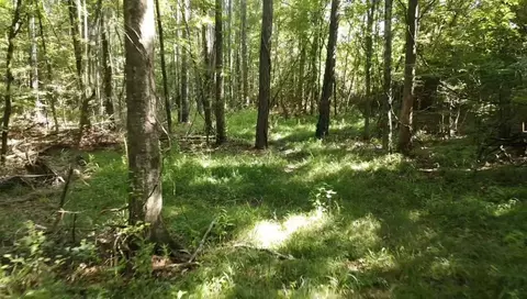 tbd NE Bahalia Rd, Brookhaven, MS 39601 photo 7
