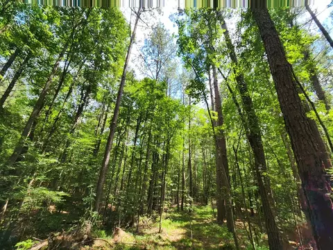 tbd NE Bahalia Rd, Brookhaven, MS 39601 photo 13