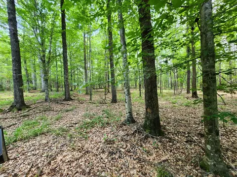 tbd NE Bahalia Rd, Brookhaven, MS 39601 photo 28