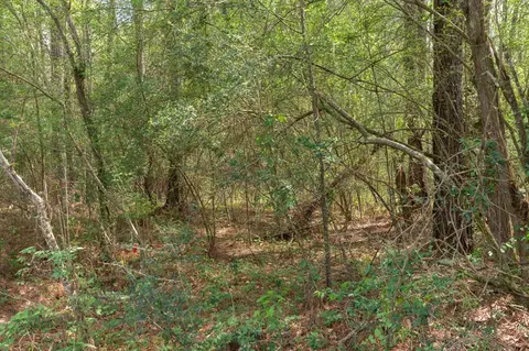 144 Don Curt Blvd, Laurel, MS 39437 photo 61