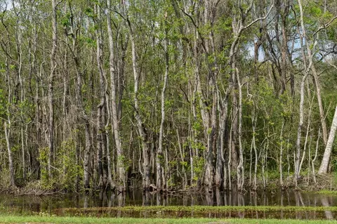144 Don Curt Blvd, Laurel, MS 39437 photo 58