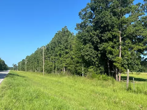 Nnn Highway 44, Jayess, MS 39641 photo 3