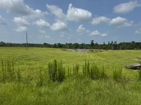 tbd Dykes Walthall Rd, Mccomb, MS 39648 photo 11
