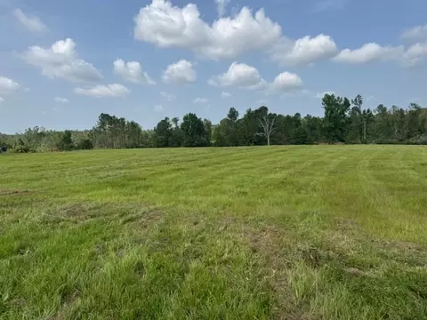 tbd Dykes Walthall Rd, Mccomb, MS 39648 photo 5