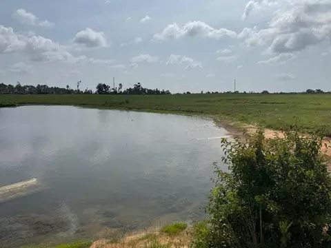 tbd Dykes Walthall Rd, Mccomb, MS 39648 photo 6