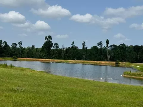 tbd Dykes Walthall Rd, Mccomb, MS 39648 photo 3