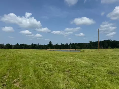 tbd Dykes Walthall Rd, Mccomb, MS 39648 photo 2