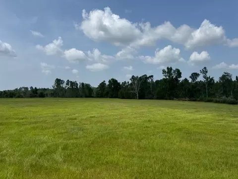 tbd Dykes Walthall Rd, Mccomb, MS 39648 photo 8