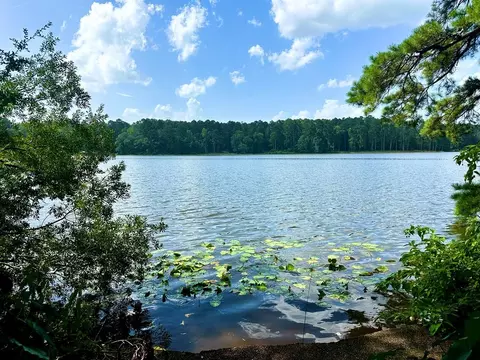 1054 Gardenia, Summit, MS 39666
