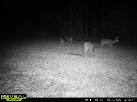781 Ebenezer Rd, Fayette, MS 39069 photo 7