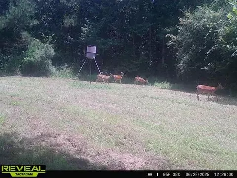 781 Ebenezer Rd, Fayette, MS 39069 photo 8