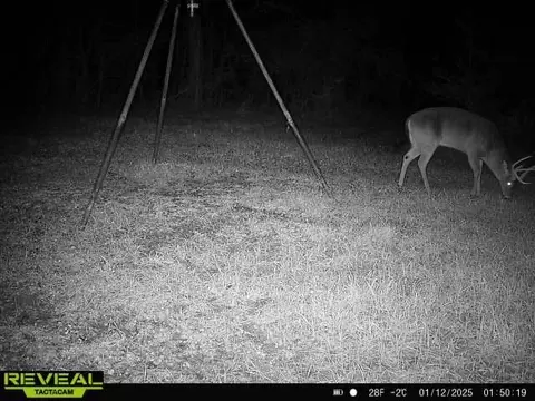 781 Ebenezer Rd, Fayette, MS 39069 photo 32