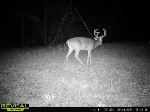 781 Ebenezer Rd, Fayette, MS 39069 photo 33