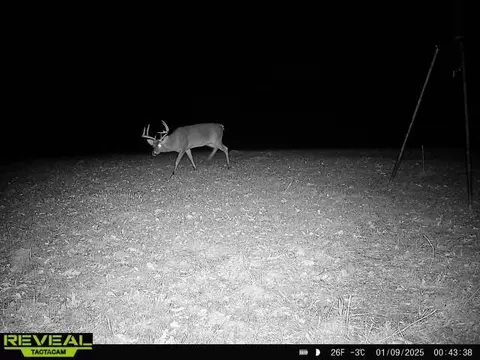 781 Ebenezer Rd, Fayette, MS 39069 photo 14
