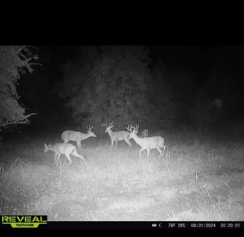 781 Ebenezer Rd, Fayette, MS 39069 photo 26